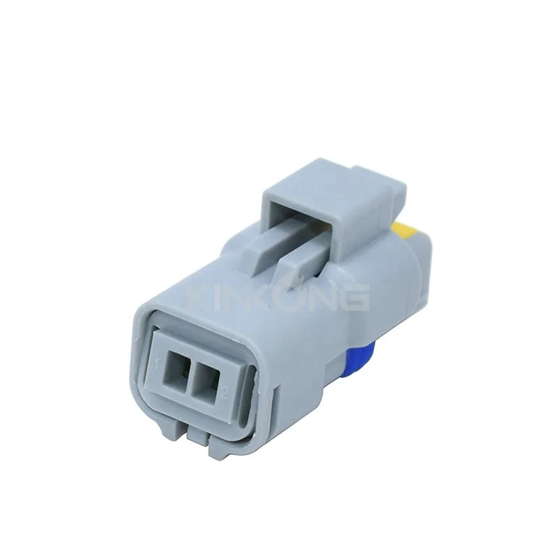 211PC022S8049 Gray 2 pin female electrical Car Accessories Automotive Waterproof FCI Connector