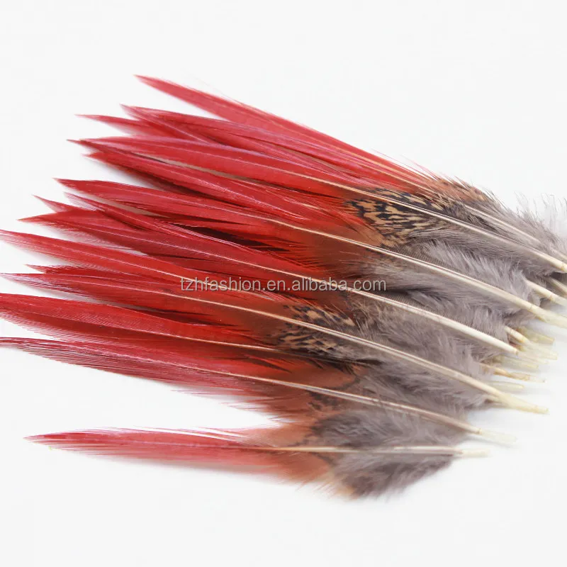 4-6 inch , 6-8 inch , 8-10 inch Natural Red Golden Pheasant Red Tip Loose Pointy Feathers