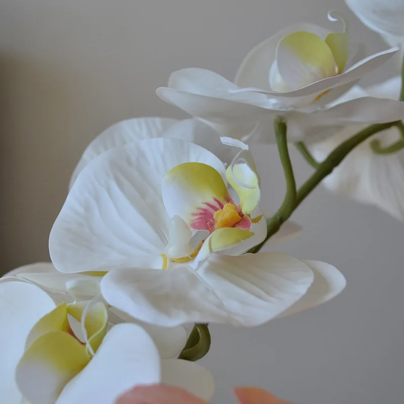 Wedding Home Decoration Orchid 9 Heads Latex Coated Real Touch Orchid Artificial Flowers Phalaenopsis Butterfly Orchid Flower