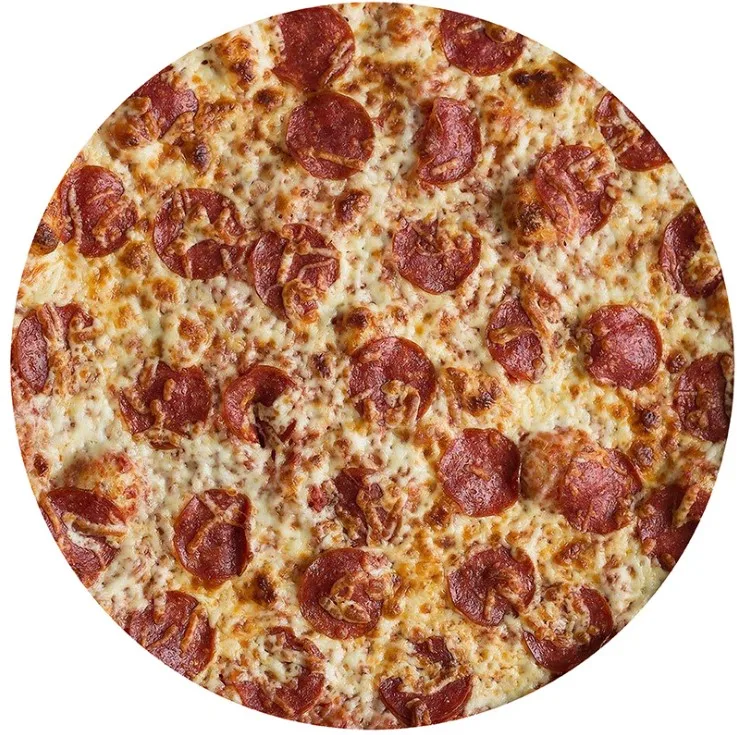 Pizza Novelty Food Blanket Adult Size Funny Realistic Throw Blanket Fuzzy Fleece Blanket Flannel Gift for Adult and Kid