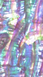 По индивидуальному заказу из перламутровых раковин шпон морское ушко ушка бумажный ламинат раковины DB-053