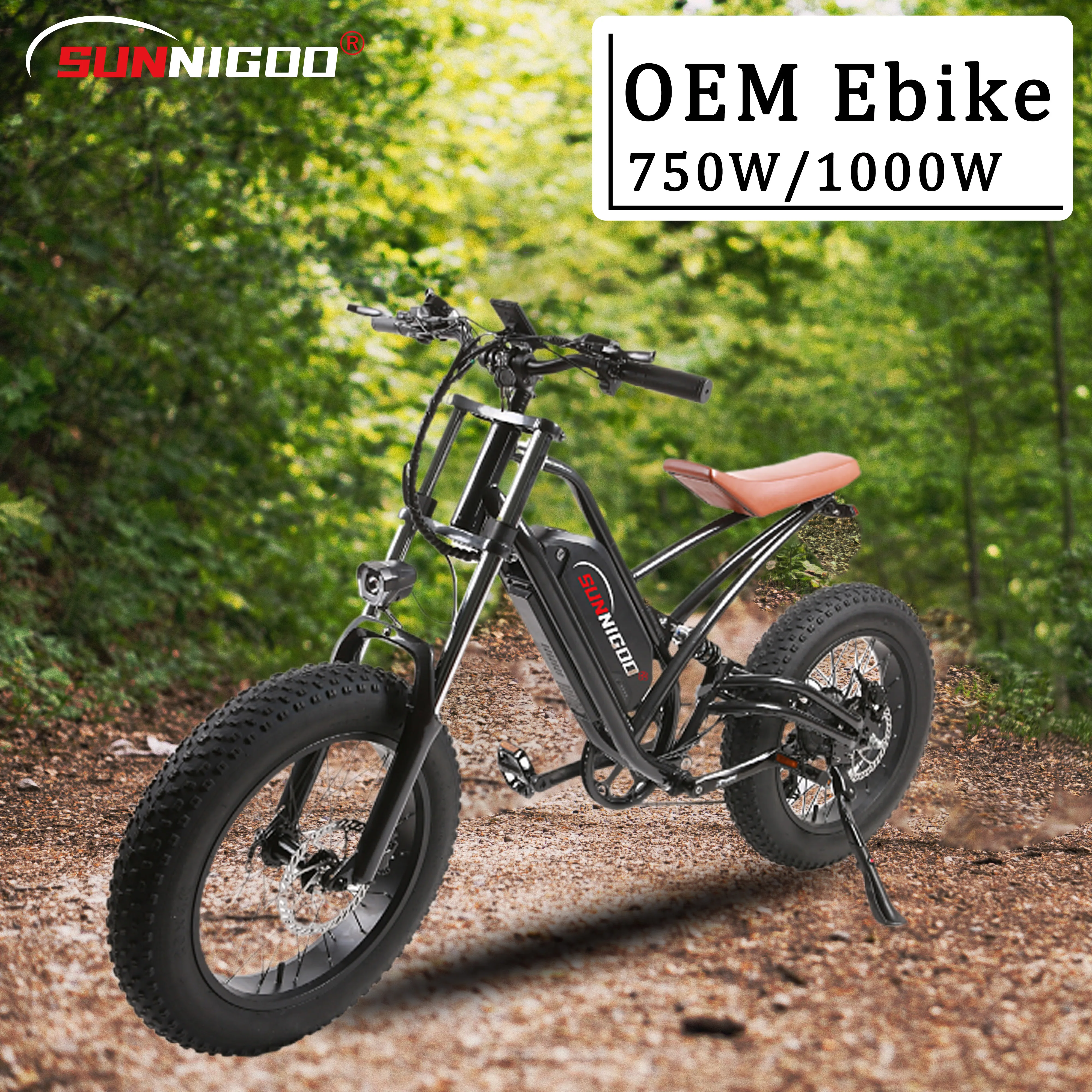 Double Shoulder Aluminium Spring Fork Full Suspension Electric Mountain Bicycle With 20inch Fat Tire electric bike