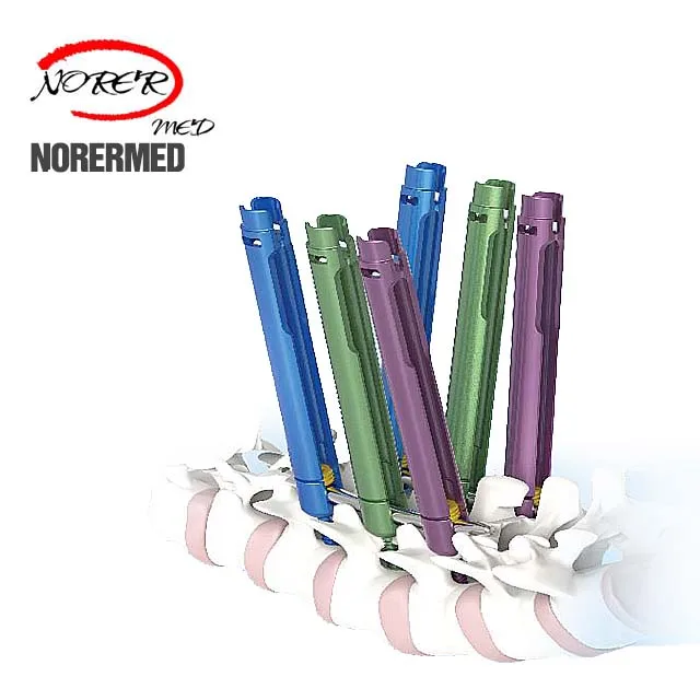 Chinese Veterinary  orthopedic Minimally Invasive Titanium MIS Screw