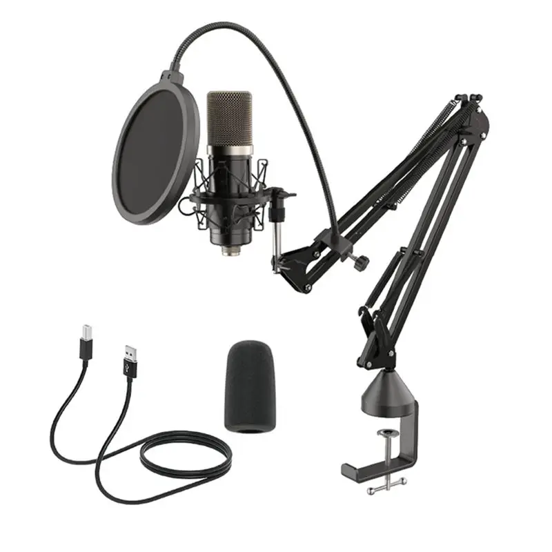 Manufacturer recording microphone condenser microphone studio recording
