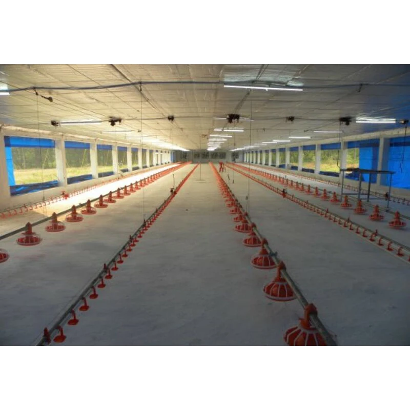 Autocad design steel poultry house fast construction steel chicken farming building