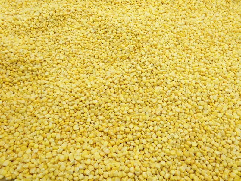 New Crop Top Grade Super Sweet IQF Frozen Sweet Corn Kernels
