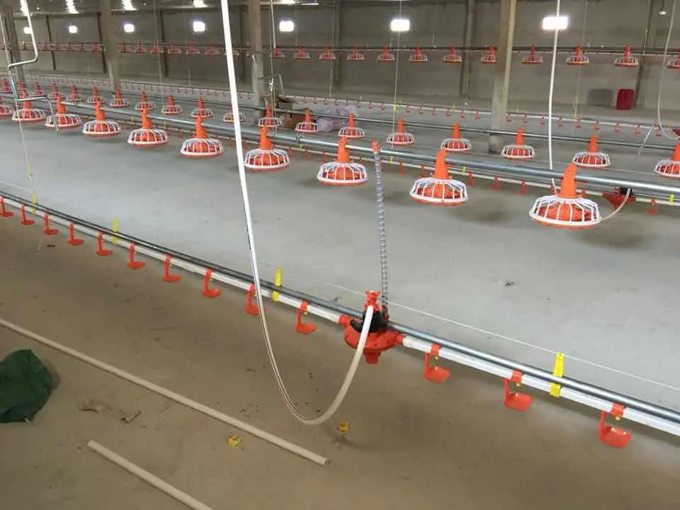 Complete Automatic Poultry Farm Equipment for Broiler /Breeder /Laying Hen