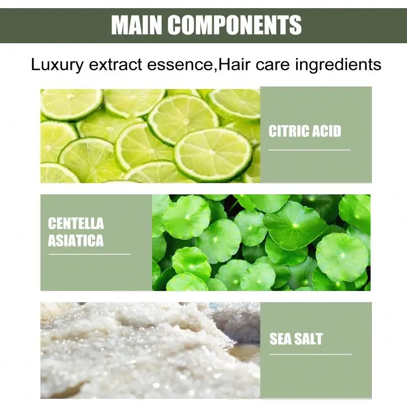 EELHOE OEM ODM Centella Sea Salt Shampoo Nourishes Scalp Oil Control Shampoo Anti Dandruff Anti Itching Shampoo 100g