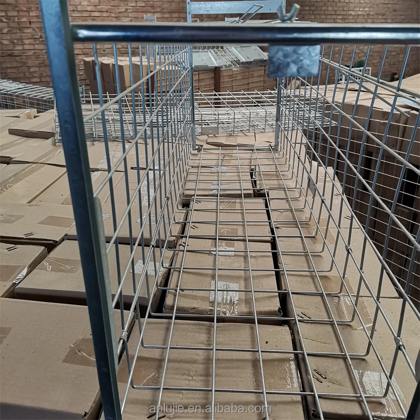 Hot Sale Collapsible Galvanize Trap Cage Catch Snake Cat Mouse Dog Fox Cage Trap