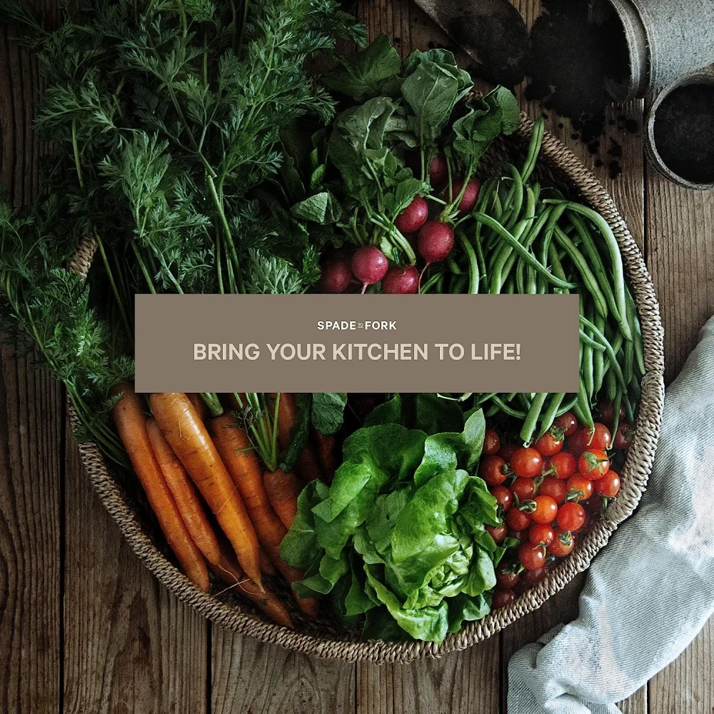 Made in China Organic Indoor Vegetable Garden Starter Kit Indoor Plant Indoor Garden Kit Plant Kit Vegetables