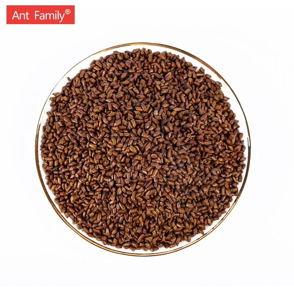 Chinese Drink Whole Baked Semen Cassiae Natural Cassia seed Eye Vision Tea