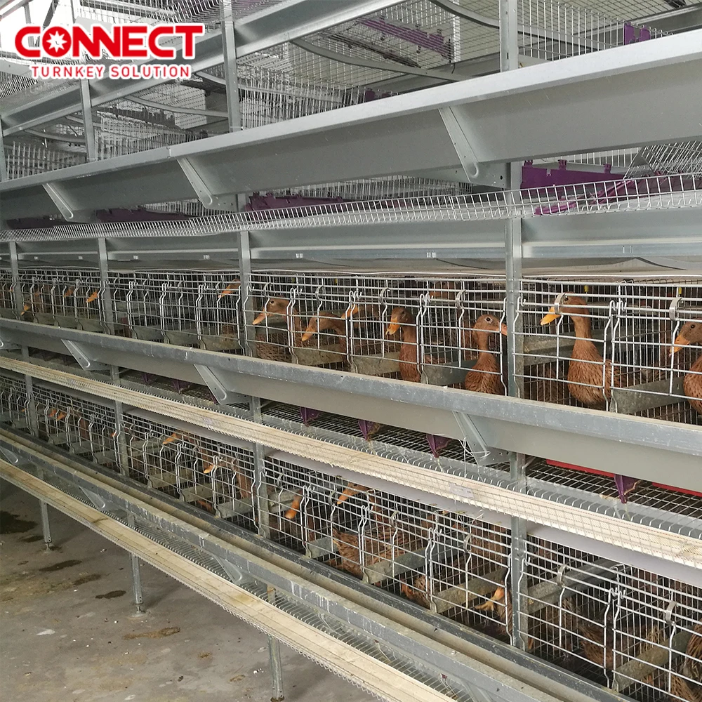 3 4 5 6 8 Tiers Full automatic broiler Battery Cages Farming  H-type poultry  pondeuse chicken feed system for 50000 Chicks