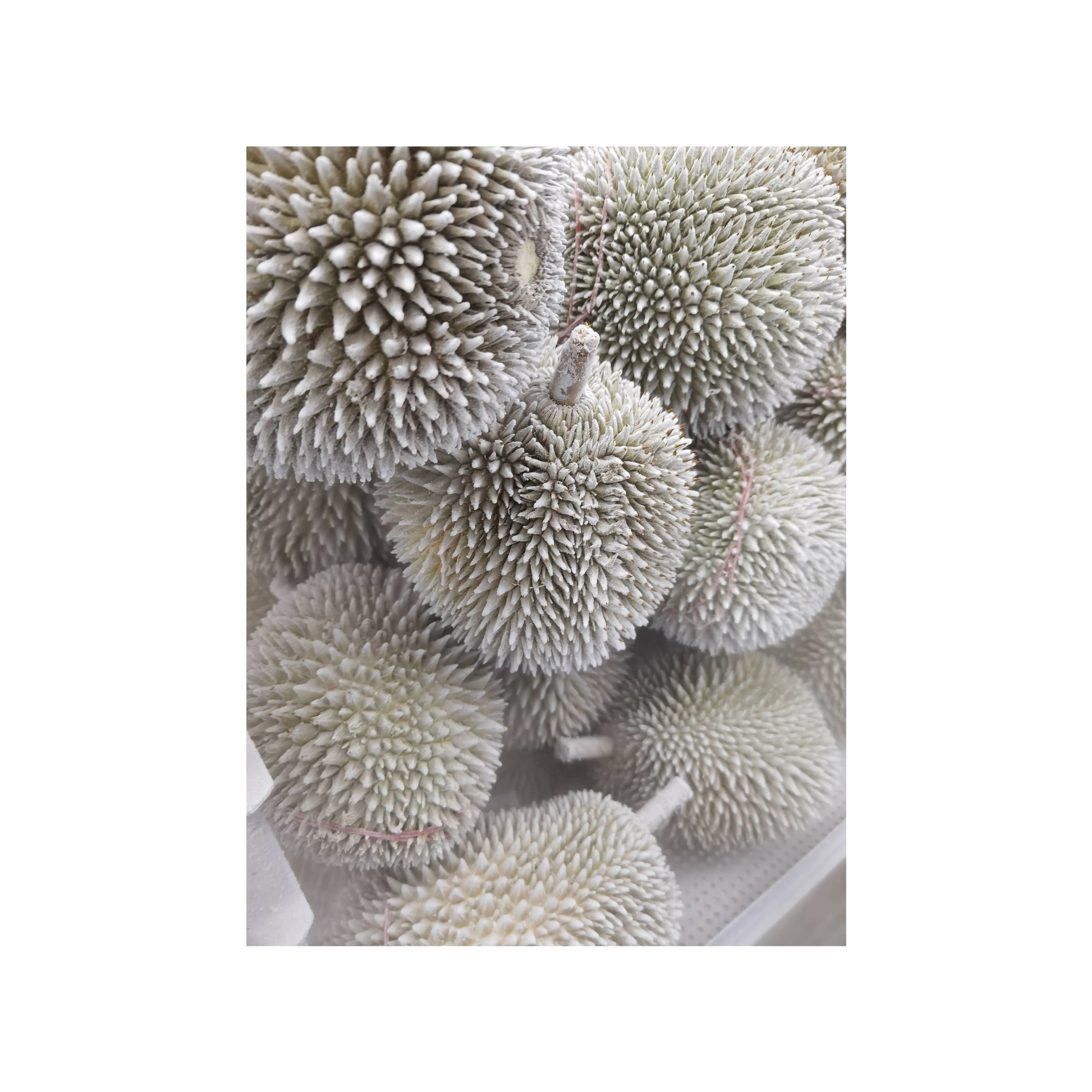 Higher Grade Top Selling Black Thorn Premium Durian Whole Shape Vacuum Pack Design 2.2kg Weight In 18 Months Shelf Life