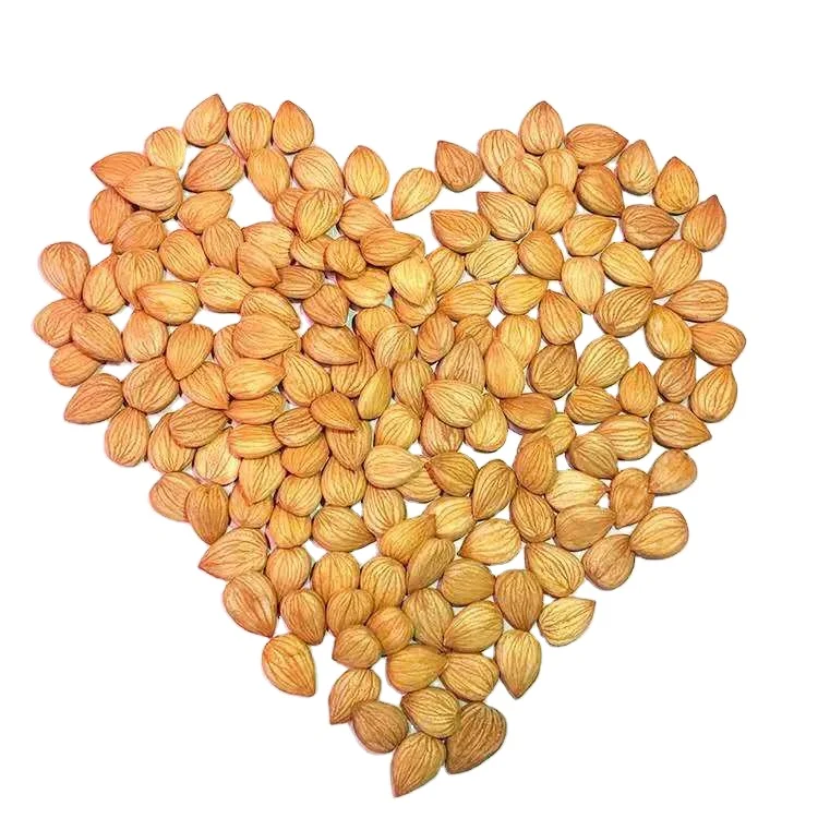 Free Sample Prices China Almond Wholesale California