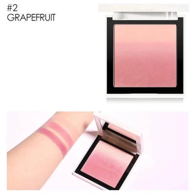 Private Label Blusher And Highlighter Palette Talc Free Matte Loose Powder Shimmer Blush