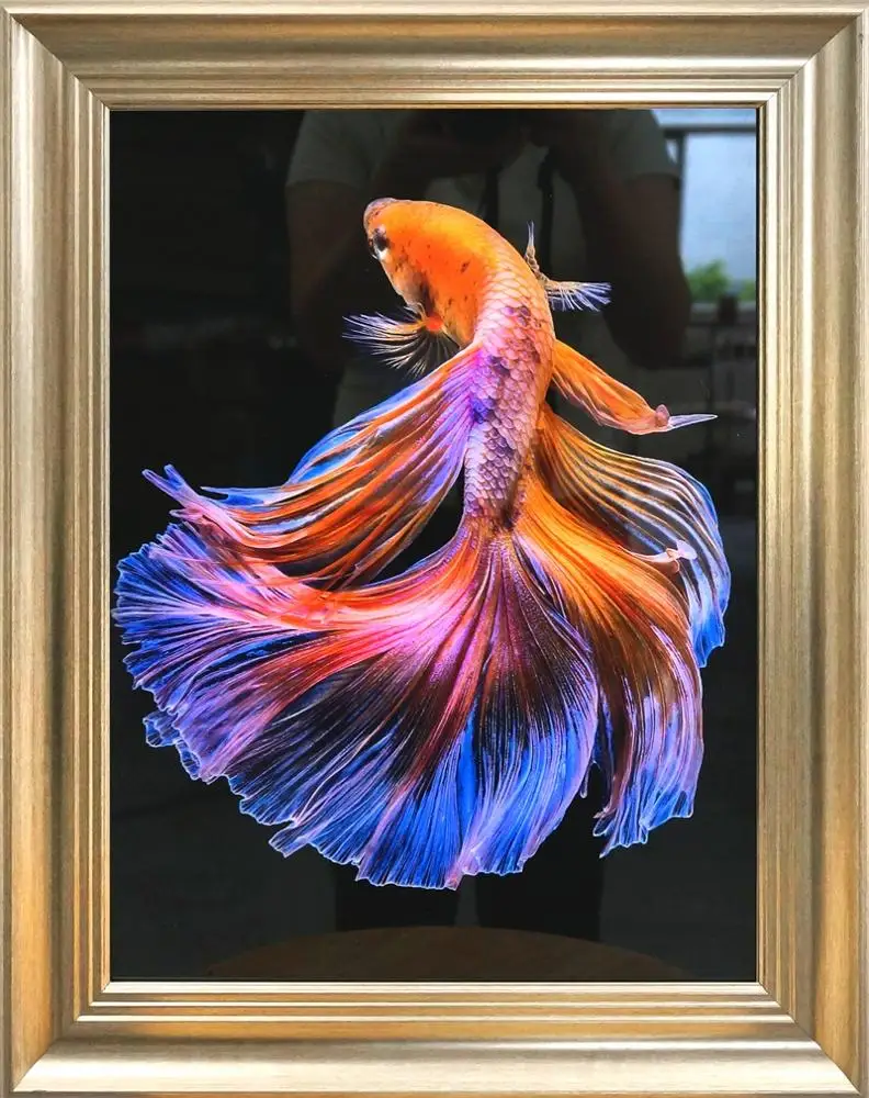 Oil Painting Dafen Home Decoration Resin Modern HD Beautiful Fish Wall Art Frame Decoration Picture 3D UV Printing Canvas Animal