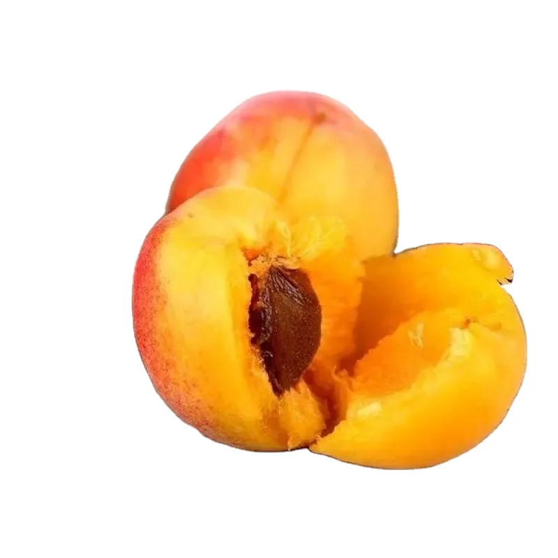 wholesale price  Frozen Apricot Halves with High Quality