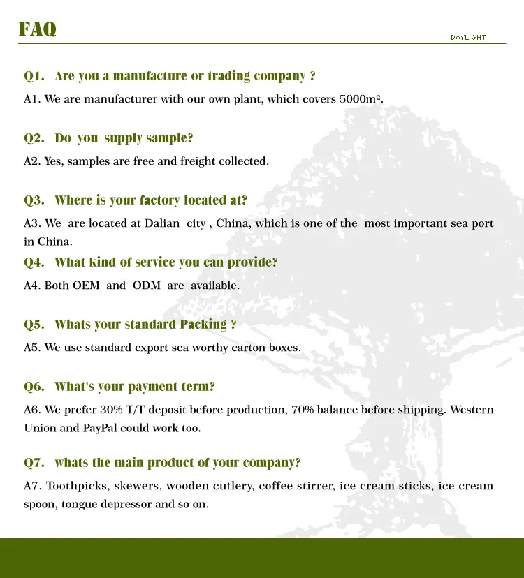 paper wrapped wooden ice cream spoon