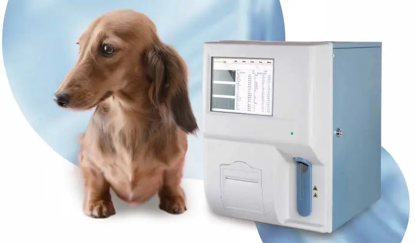 Top China Veterinary Hematology Analyzer 3 parts Vet CBC Blood Testing kx 21 Hematology Analyzer Machine
