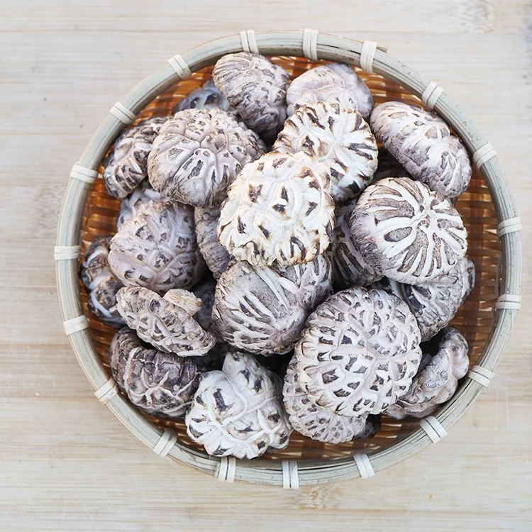 Свежие грибы устричный соус shiitake пищевые добавки и витамины