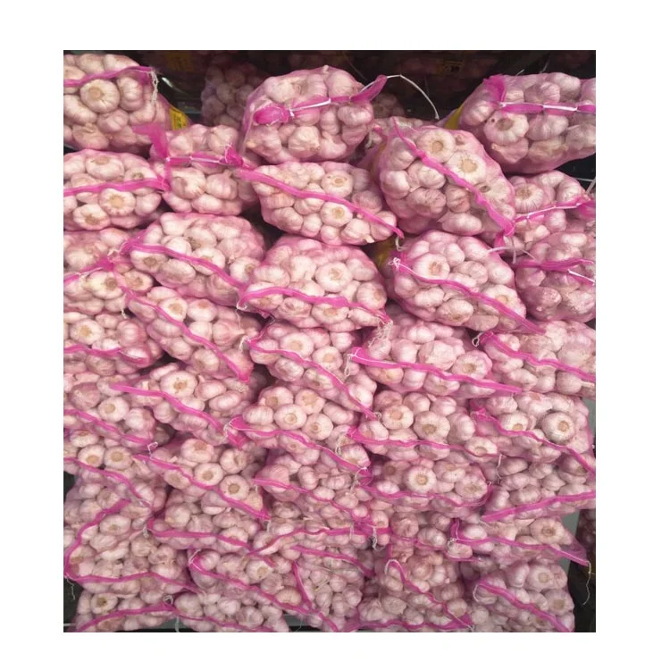 Экспортные Семена Чеснока Tianqin для посадки и 2024 нового урожая один зубчик Черного по низкой цене