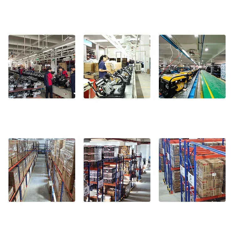 Bison 110v 220v 380v reliable quality gasoline electric generator lpg gas generator 2kw 3kw 5kw 6kw