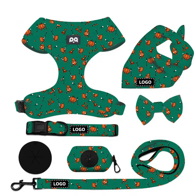 QQPETS принадлежности для домашних животных и аксессуары собак Регулируемый Логотип персонализированный без вытягивания поводок набор поводков