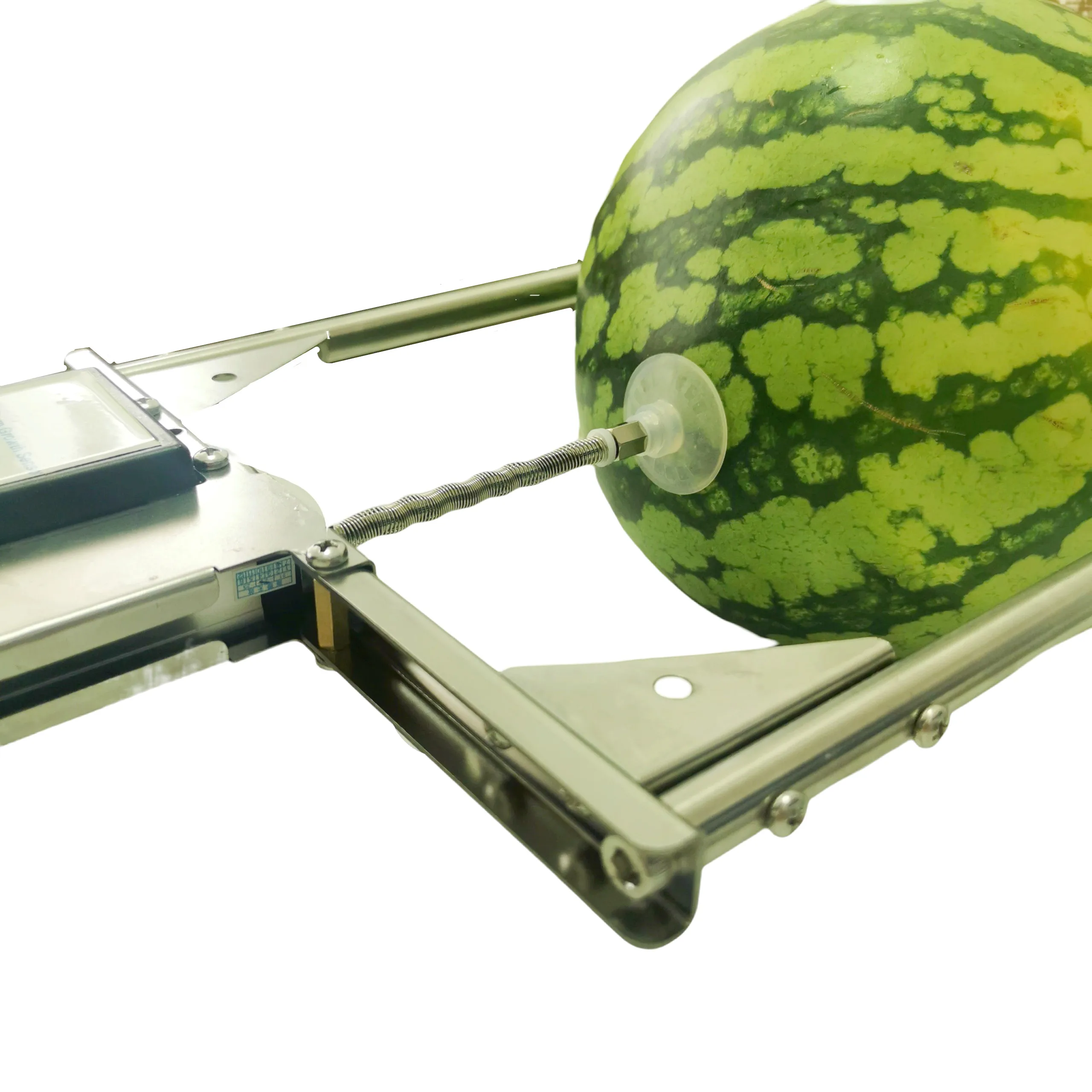 ONLINE MONITORING AGRICULTURE GREENHOUSE FRUIT DIAMETER PLANT STEM GROWTH SWELLING SENSOR