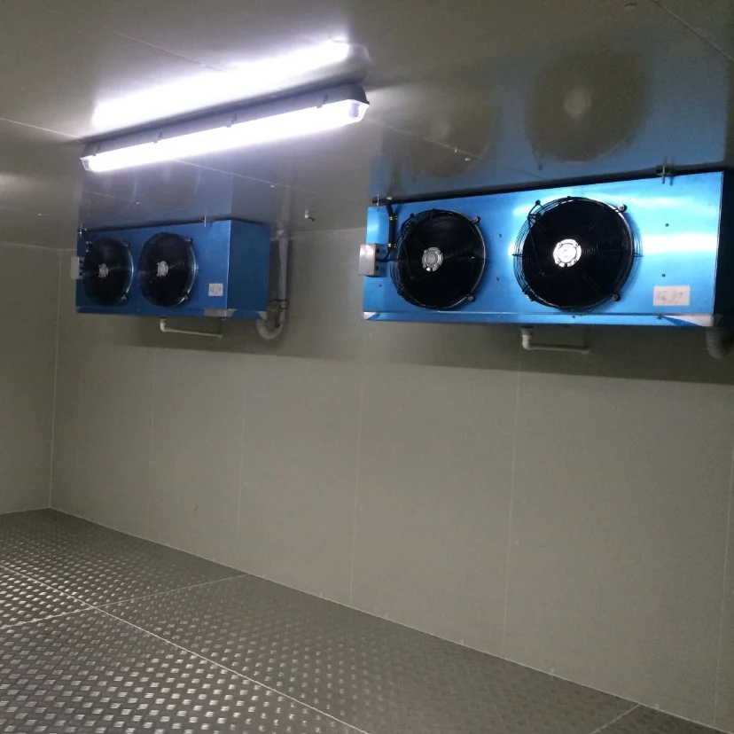 Портативная комната для хранения температуры, морозильная камера, холодильник для хранения специй