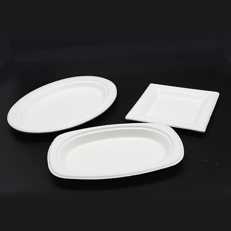 
Square Tableware Dinner Plates 100% Natural Eco-friendly Biodegradable Customized-size Sugarcane Bagasse Disposable 