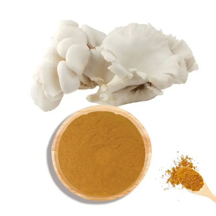 QINSHANTANG Oyster Mushroom Extract 30% 50% oyster mushroom extract powder polysaccharides Oyster Mushroom Extract Powder