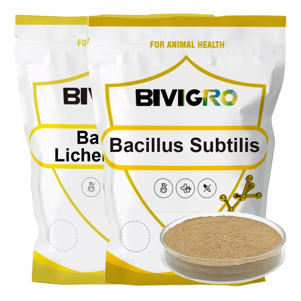 Animal Feed Digestive Enzymes Probiotics Supplier 200 Billion cfu/g Enhance Nutrition