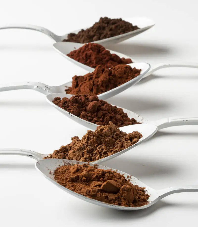 Food grade halal unsweetened valrhona cocoa powder for baking cakes