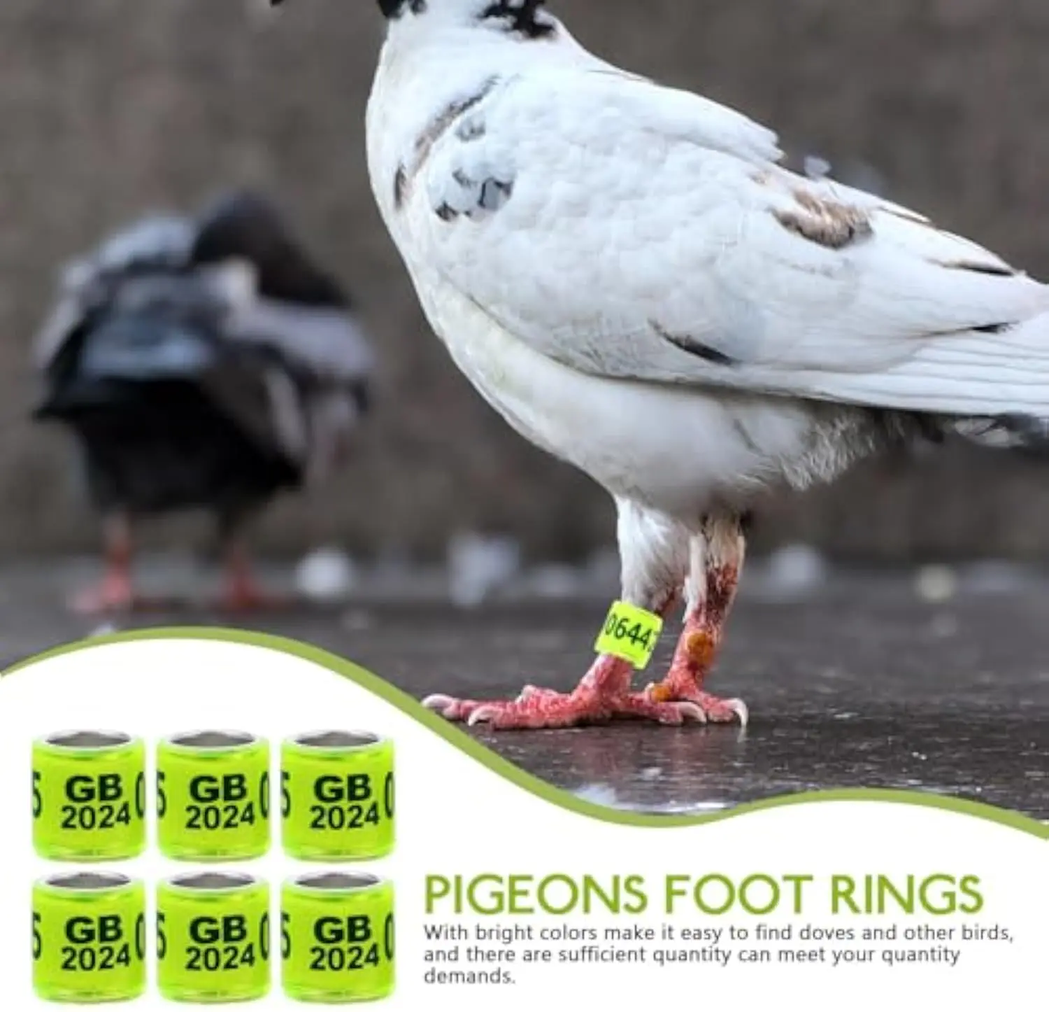 Multicolor Aluminium Pigeon Leg Rings Bands Identify Plastic With 2025 Training Birds Foot Ring