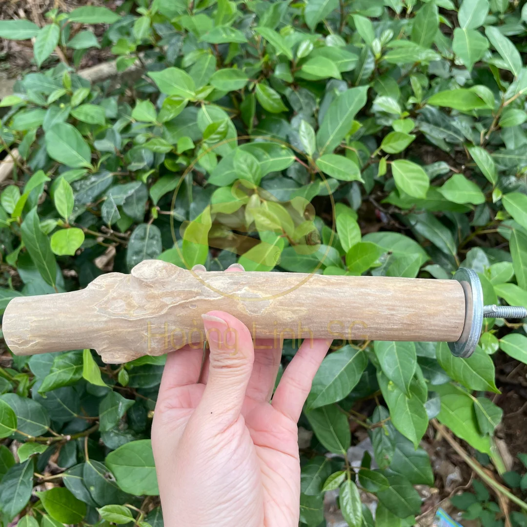 Coffee wood Bird Perches - Great product for birds  made  in Vietnam HOANG LINH SG Kimy +84938616690
