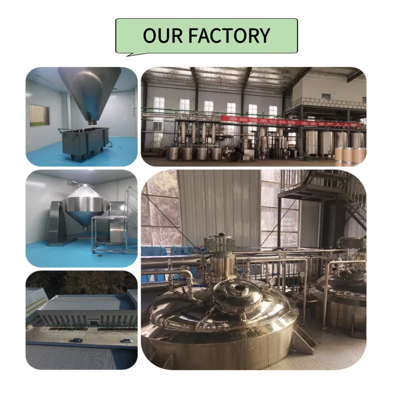 Factory Supply Organic Chinese Wolfberry Polysaccharides Black Goji Berry Fruit Powder Black Wolfberry Extrcat