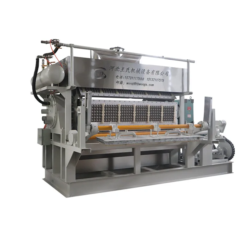 Wongs 7000 Pcs/hr Full Automatic Biodegradable Packaging Paper Eggs Carton Tray Making Machine