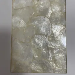 manufacture interior wall decor hand made mother of pearl mosaic wall panel for furniture door decoration