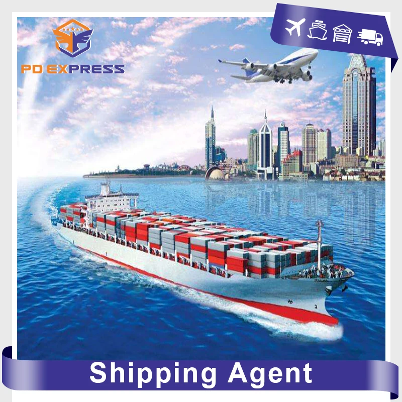 Stable shipping service sea freight shipment sea shipping service sea cargo ship China shipping to USA Amazon warehouse service