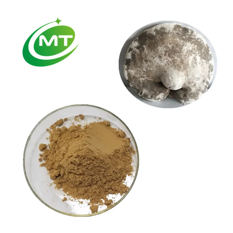 Высококачественный органический 30% Полисахариды, экстракт агарикона