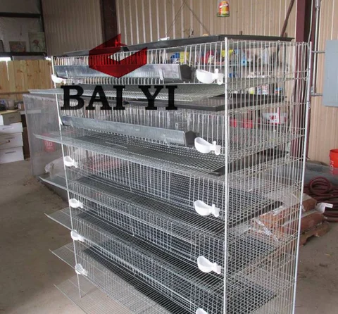 6 tier layer egg quail cages/metal quail cage for sale in philippines