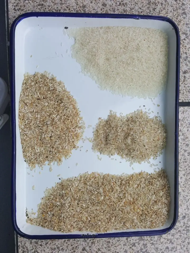  Машина для переработки риса сортировщик цвета