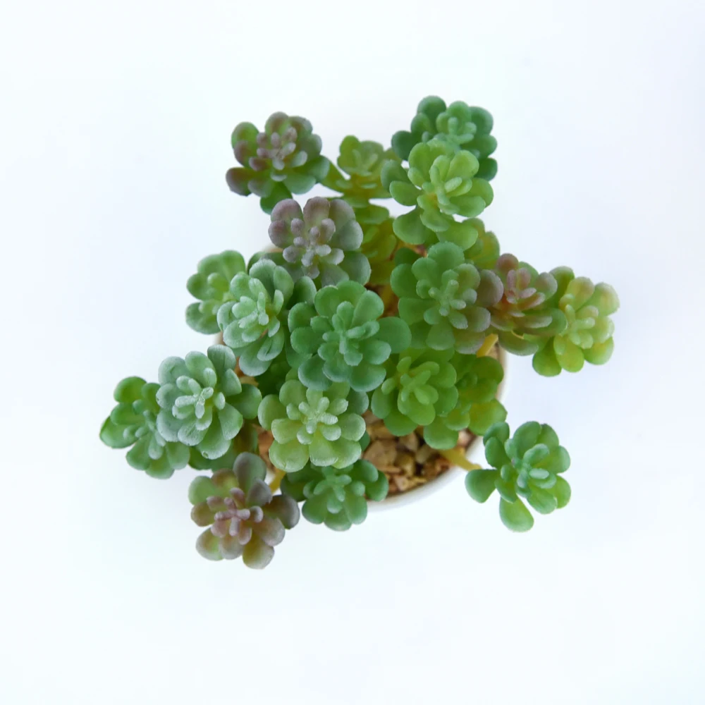 High Simulation Artificial Succulent Plant in Plastic Pot Assorted Plastic Mini Plant Bonsai Desktop Decoration