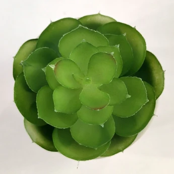 succulents wholesale decorative mini outdoor indoor hanging arrangement artificial plants succulent for sale