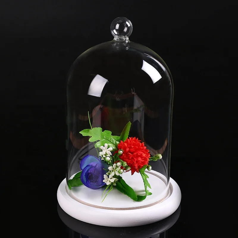 Hot selling Custom mini bell jars glass dome with Wooden base