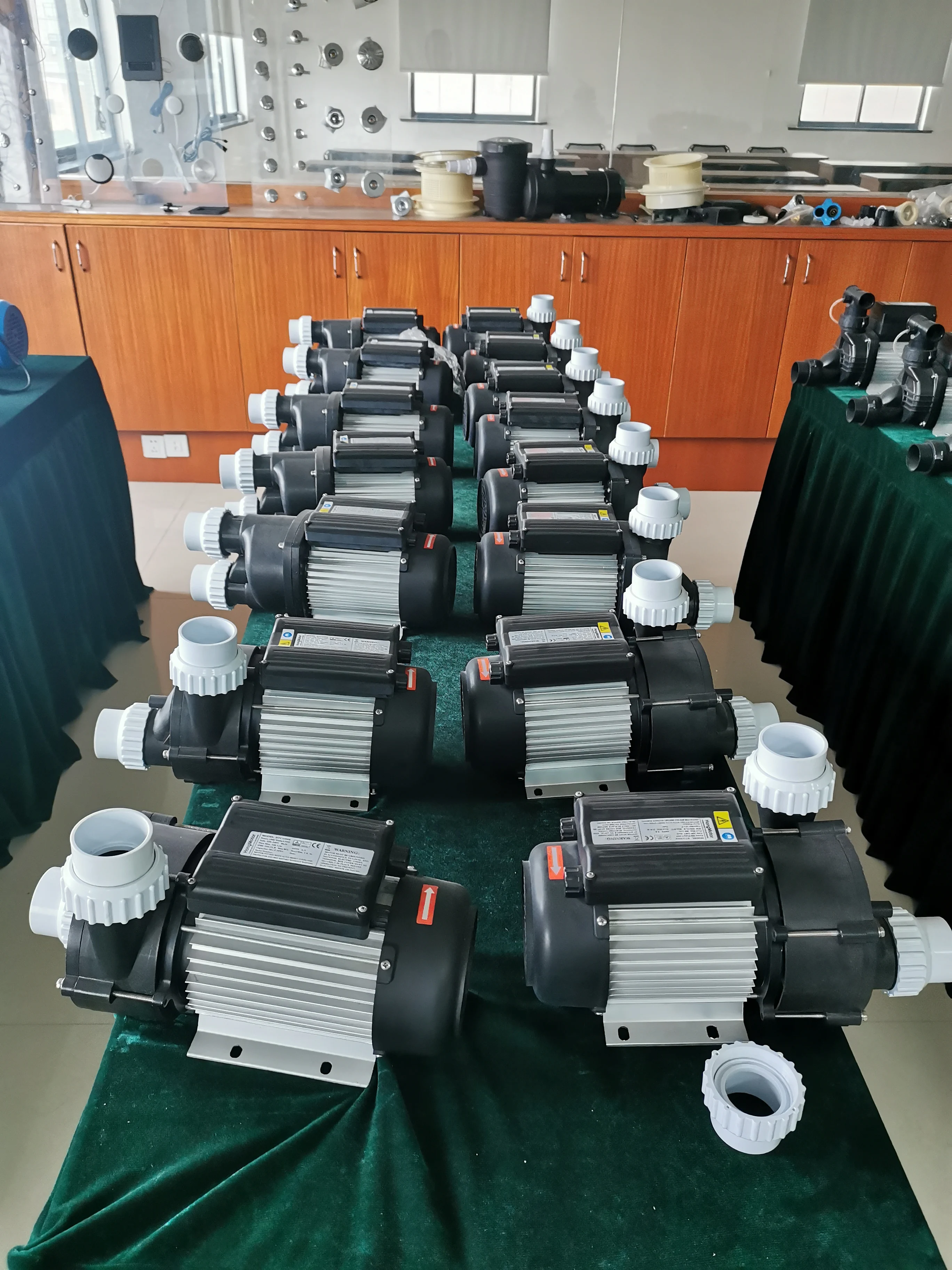 Bathtub hydrotherapy SPA water pump for family