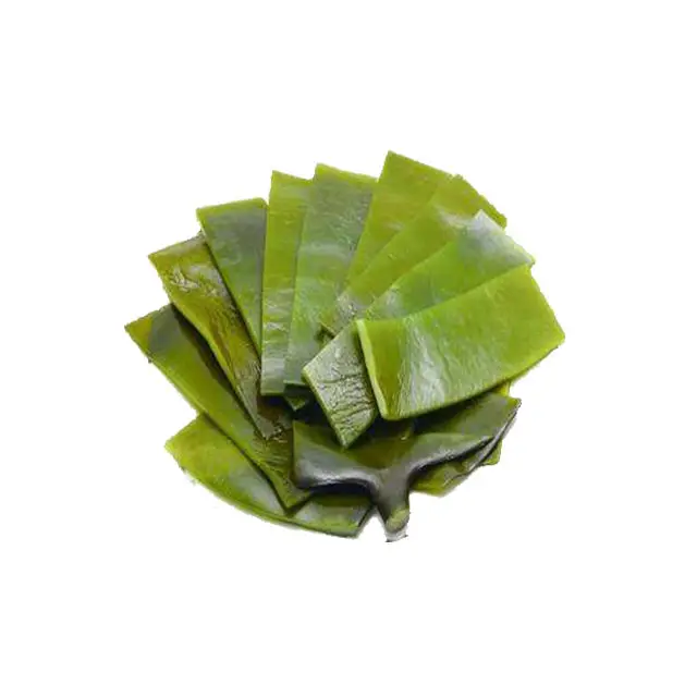 High Quality Health Products Kelp Extract Powder