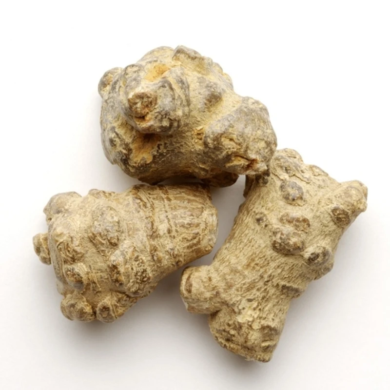 March Expo Wholesale Herb in Guangzhou Other Plant Extract Yunnan Sanqi Root