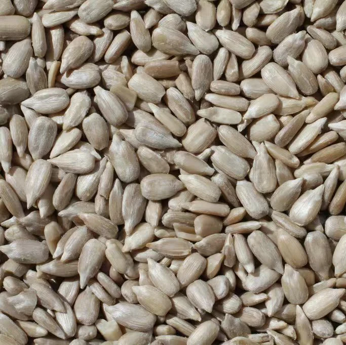 High Quality Healthy Food Nuts sunflower Kernel Chinese sunflower Seeds