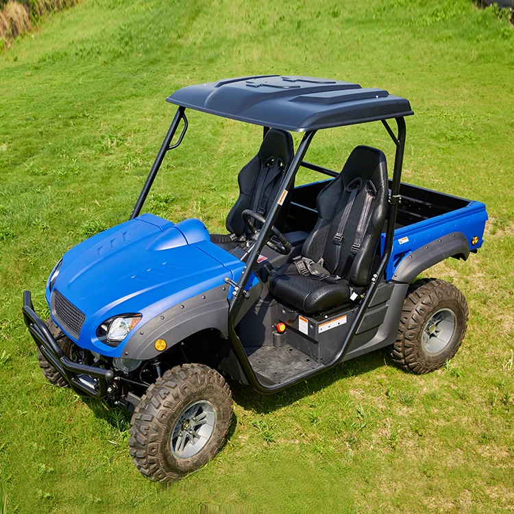 Hot Selling Utv Mini Electric 5kw=7.5kw Electric Utv for Sale
